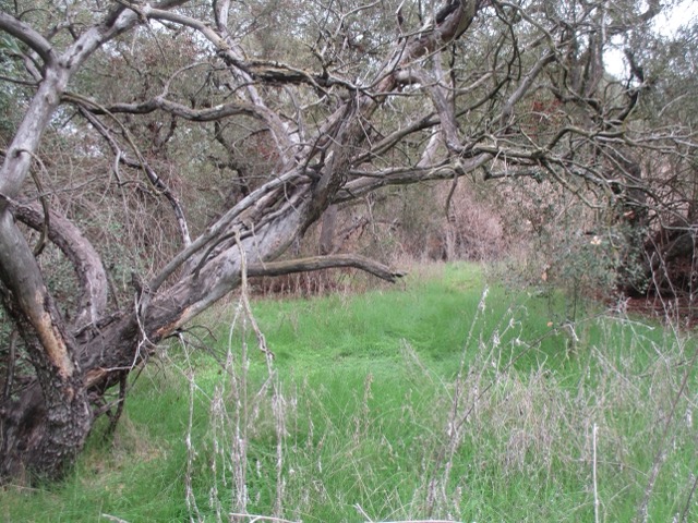 walking on campus at sunset
